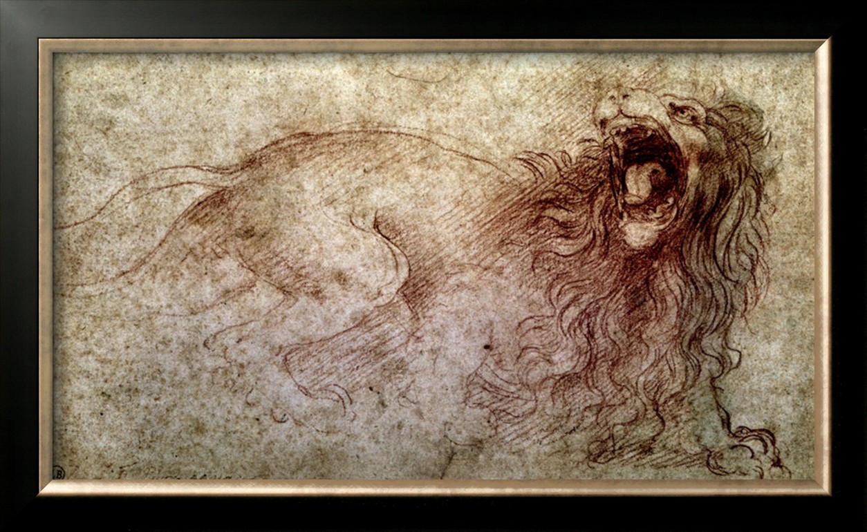 SKETCH OF A ROARING LION - Leonardo Da Vinci Painting